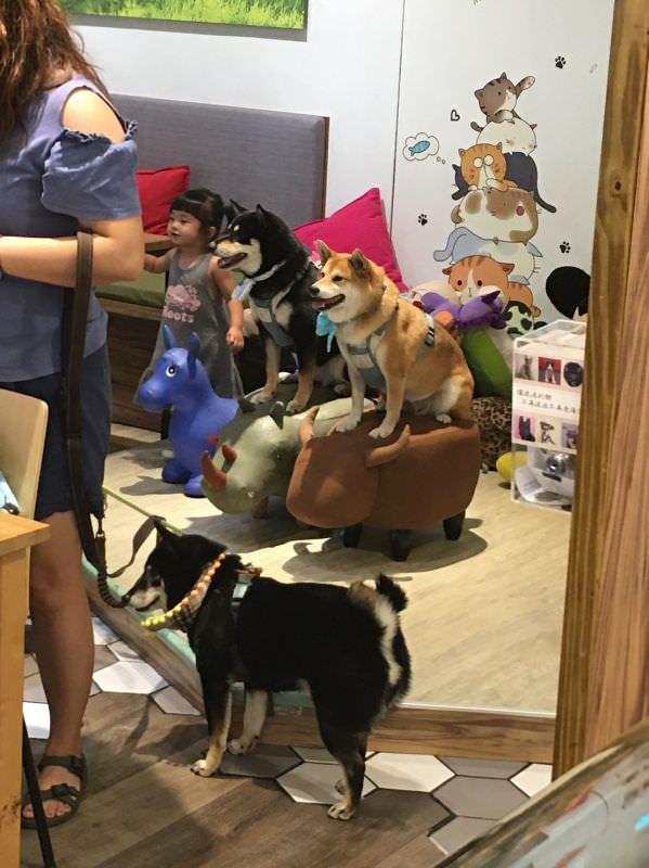 森林小徑健行店对宠物超友善